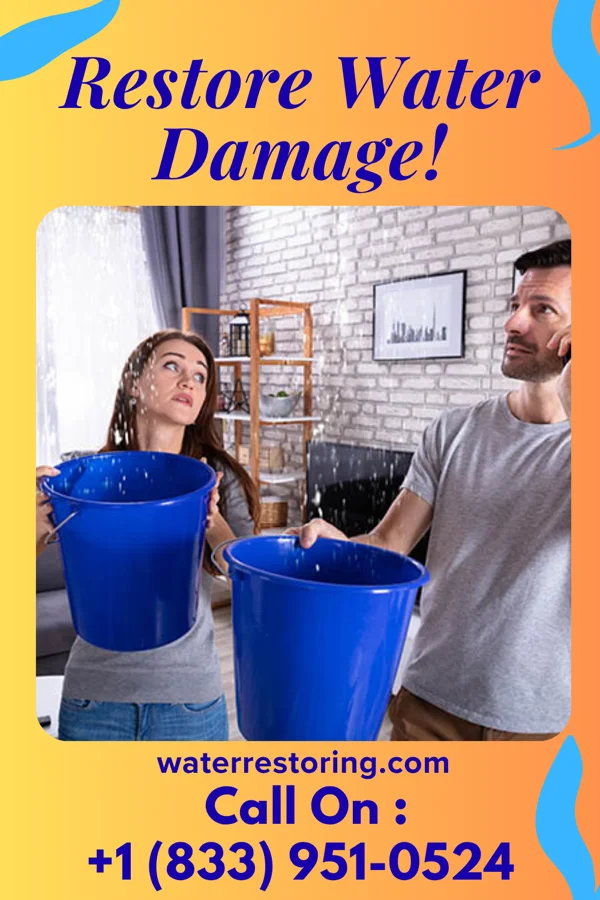 water restoration Apex Water Repair Orleans