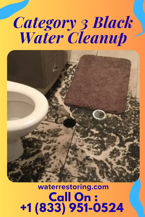 Category 3 Black Water Cleanup in Orleans, VT