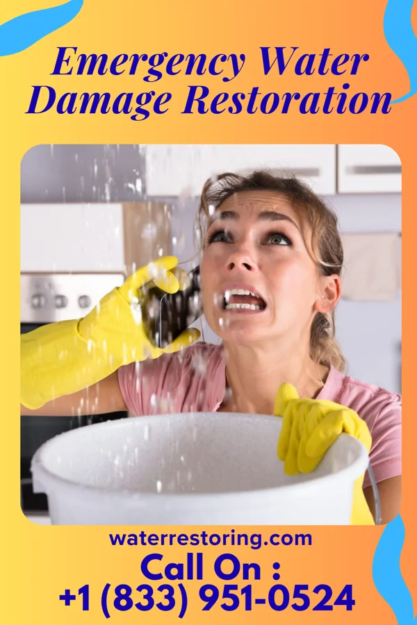 Emergency Water Damage Restoration in Orleans, VT
